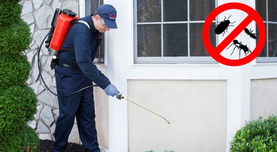 Kofçaz Akrep İlaçlama böcek ilaçlama ve haşere kontrolü — ilaclama-tr.com